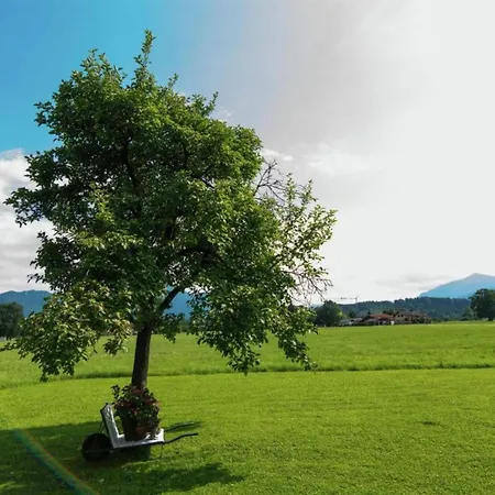 Gemuetliches In Feldwies Mit Sauna * Уберзее