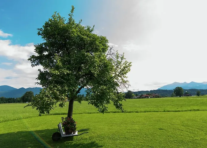 Apartament Gemuetliches In Feldwies Mit Sauna *