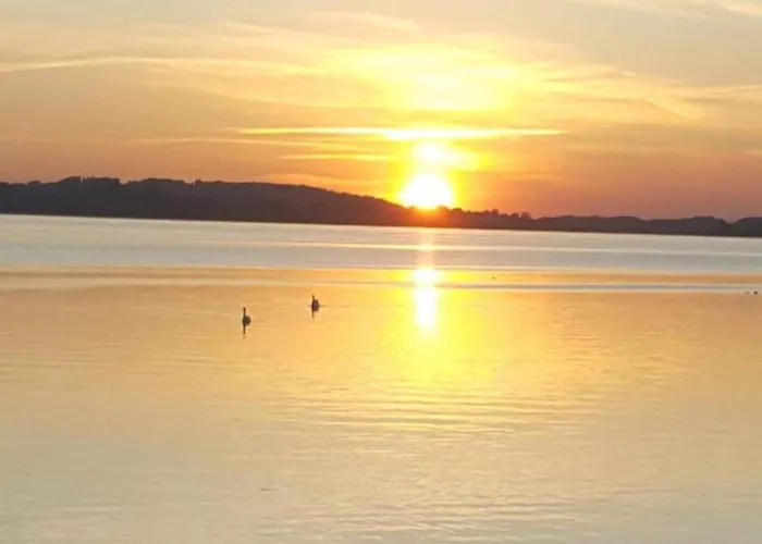 Daire Gemuetliches In Feldwies Mit Sauna Übersee