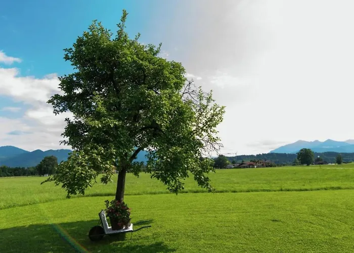 Gemuetliches In Feldwies Mit Sauna * Übersee